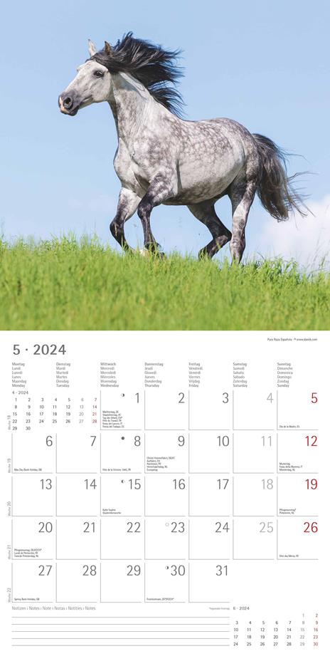 Alpha Edition - Calendario 2024 da muro Horses, 12 mesi, 30x30 cm - 7