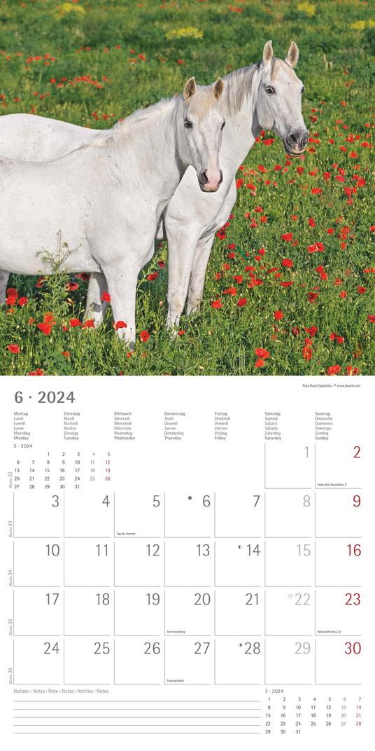 Alpha Edition - Calendario 2024 da muro Horses, 12 mesi, 30x30 cm - 8