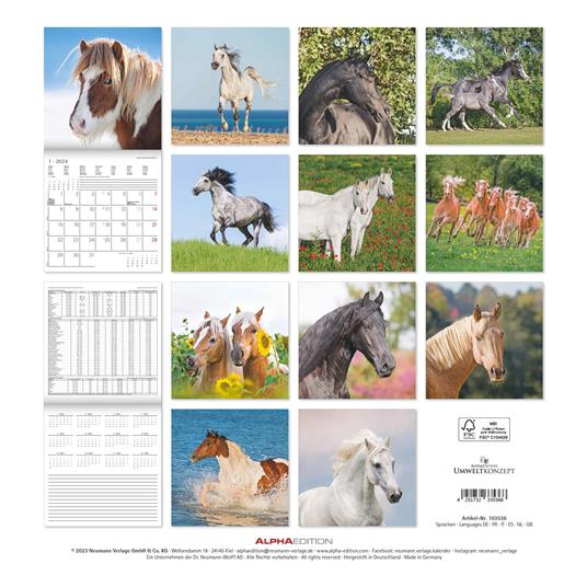 Alpha Edition - Calendario 2024 da muro Horses, 12 mesi, 30x30 cm - 15