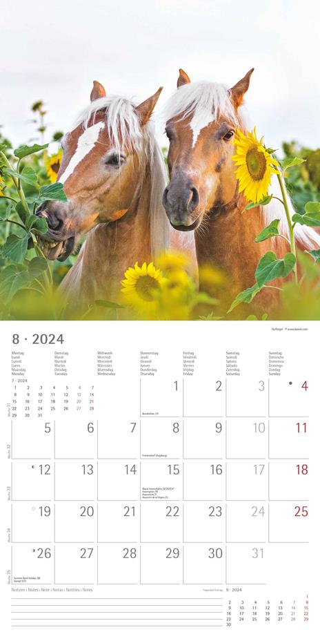 Alpha Edition - Calendario 2024 da muro Horses, 12 mesi, 30x30 cm - 10