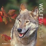 Alpha Edition - Calendario 2024 da muro Wolves, 12 mesi, 30x30 cm