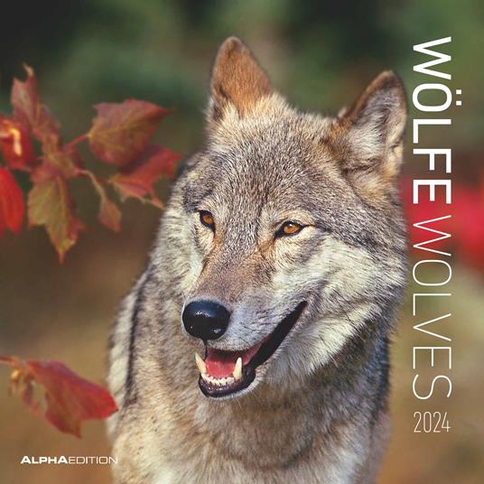 Alpha Edition - Calendario 2024 da muro Wolves, 12 mesi, 30x30 cm