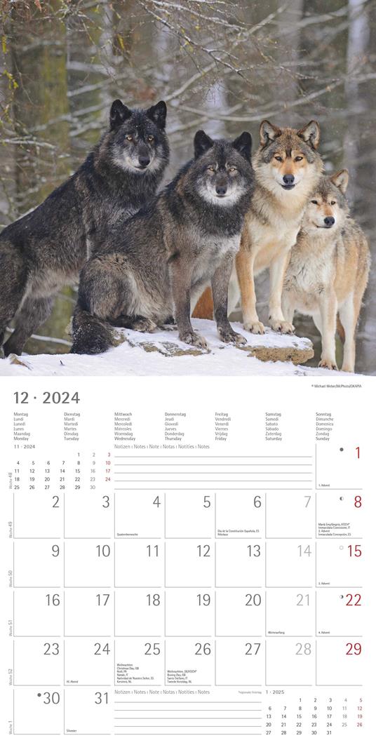 Alpha Edition - Calendario 2024 da muro Wolves, 12 mesi, 30x30 cm - 14
