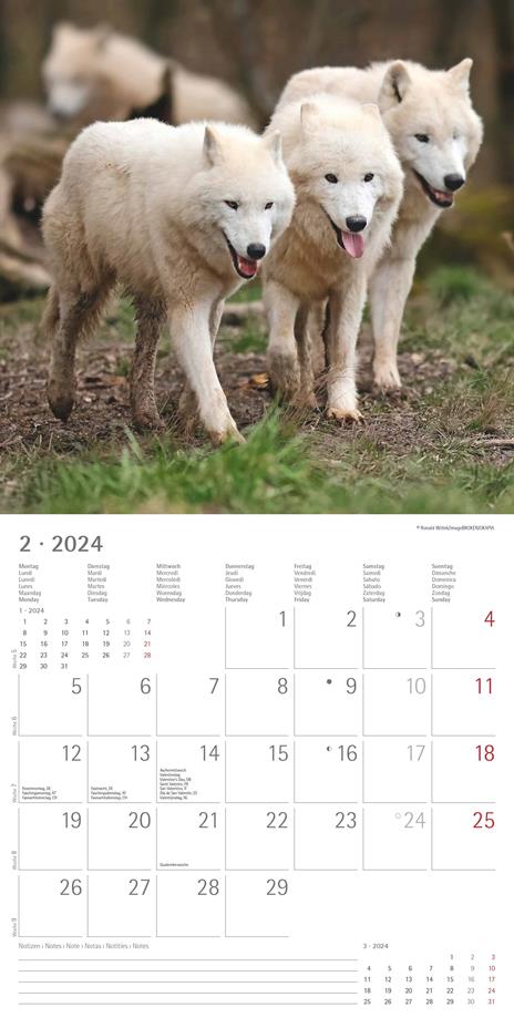 Alpha Edition - Calendario 2024 da muro Wolves, 12 mesi, 30x30 cm - 4