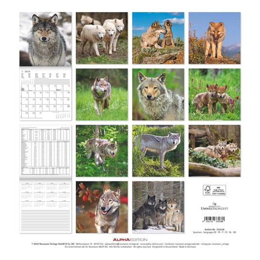 Alpha Edition - Calendario 2024 da muro Wolves, 12 mesi, 30x30 cm - 15
