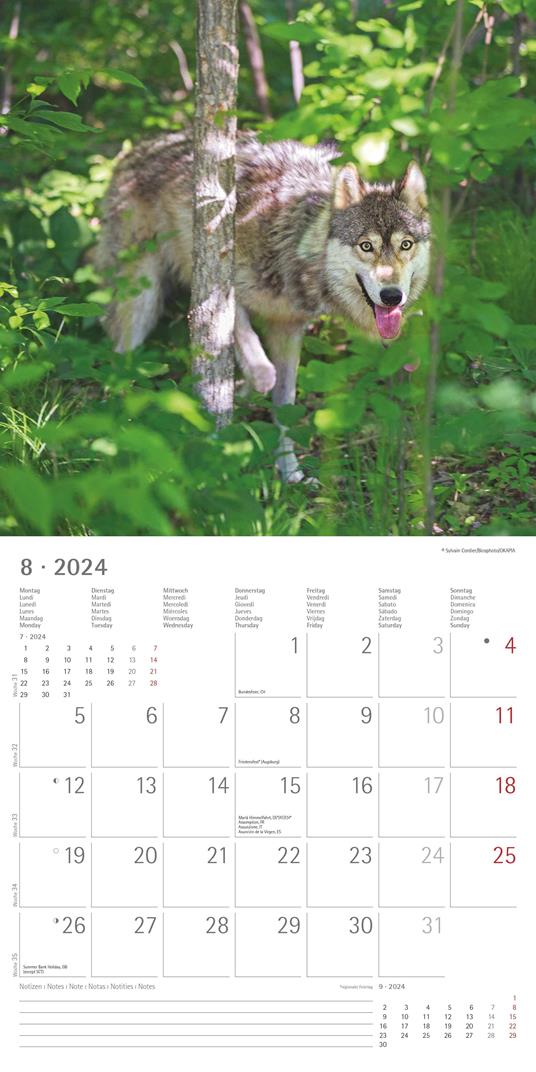 Alpha Edition - Calendario 2024 da muro Wolves, 12 mesi, 30x30 cm - 10