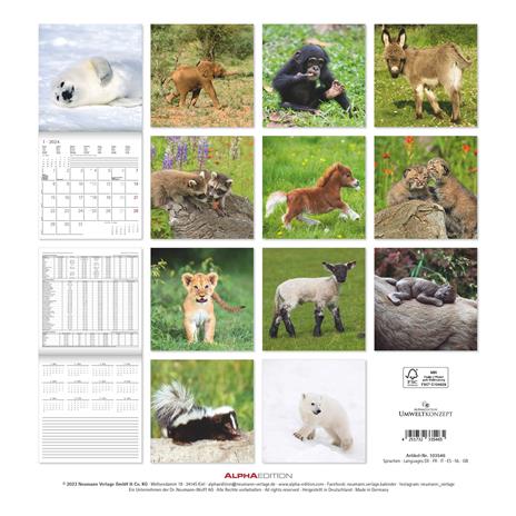 Alpha Edition - Calendario 2024 da muro Baby Animals, 12 mesi, 30x30 cm - 15