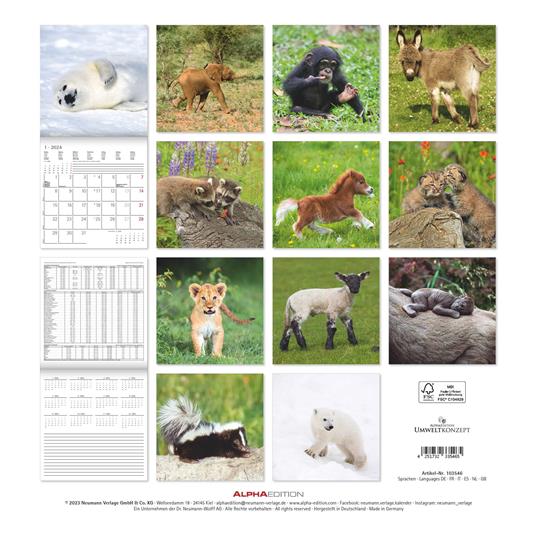 Alpha Edition - Calendario 2024 da muro Baby Animals, 12 mesi, 30x30 cm - 15