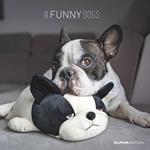 Alpha Edition - Calendario 2024 da muro Funny Dogs, 12 mesi, 30x30 cm