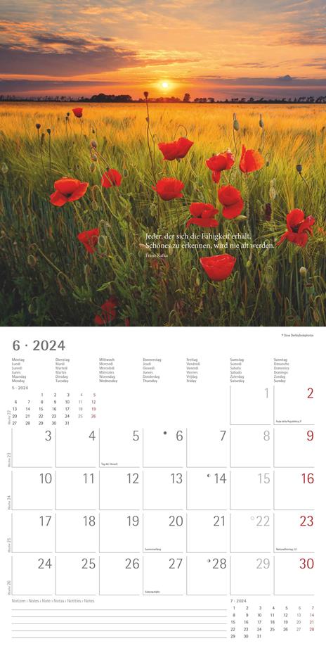 Alpha Edition - Calendario 2024 da muro Meditation, 12 mesi, 30x30 cm - 7