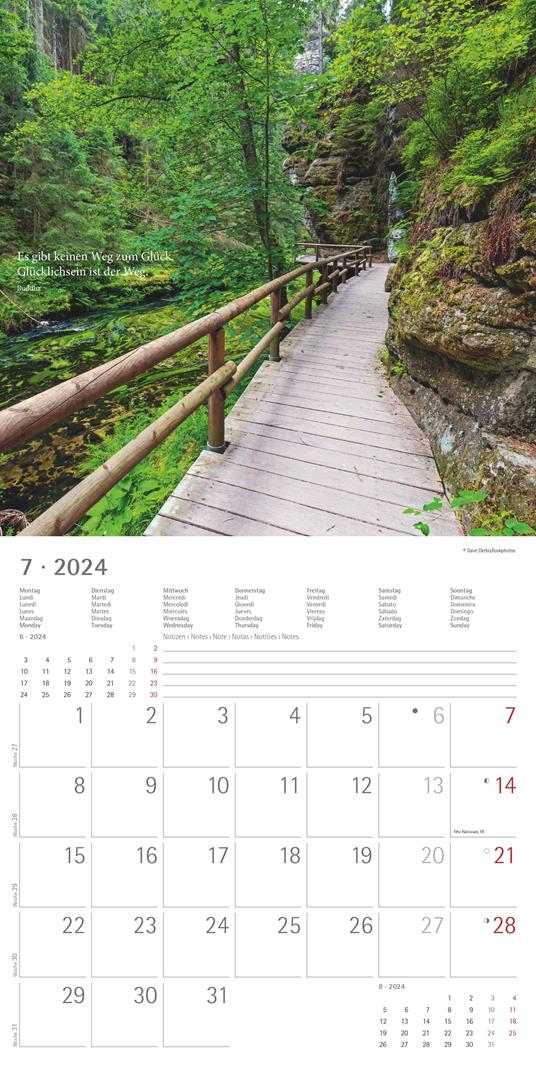 Alpha Edition - Calendario 2024 da muro Meditation, 12 mesi, 30x30 cm - 9