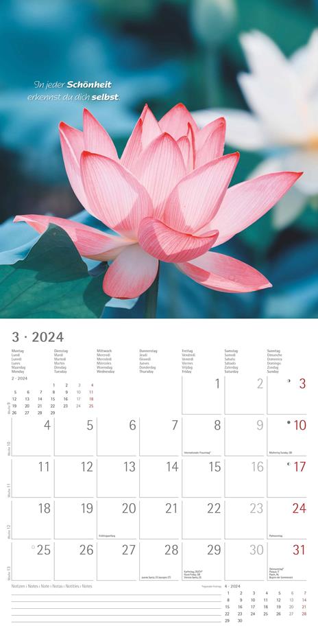 Alpha Edition - Calendario 2024 da muro Zen, 12 mesi, 30x30 cm - 5