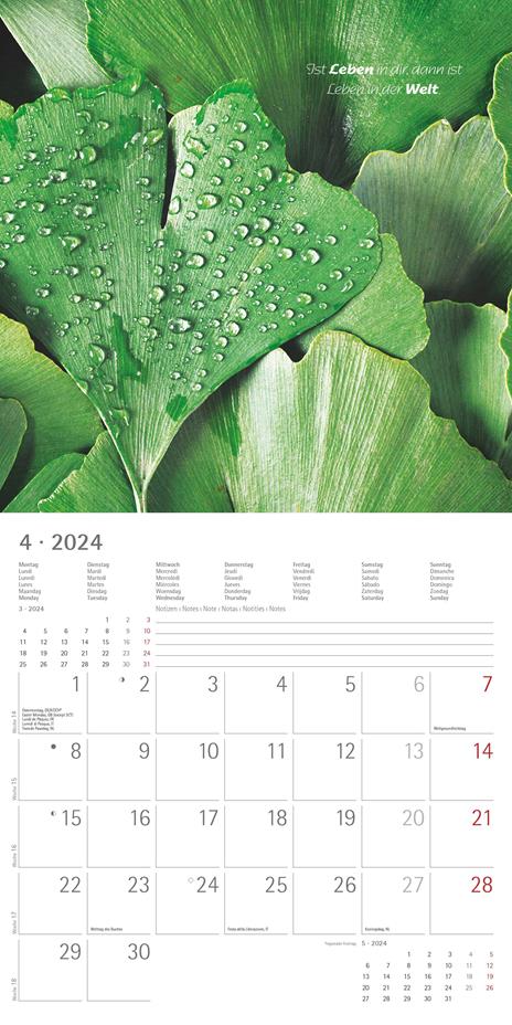 Alpha Edition - Calendario 2024 da muro Zen, 12 mesi, 30x30 cm - 6