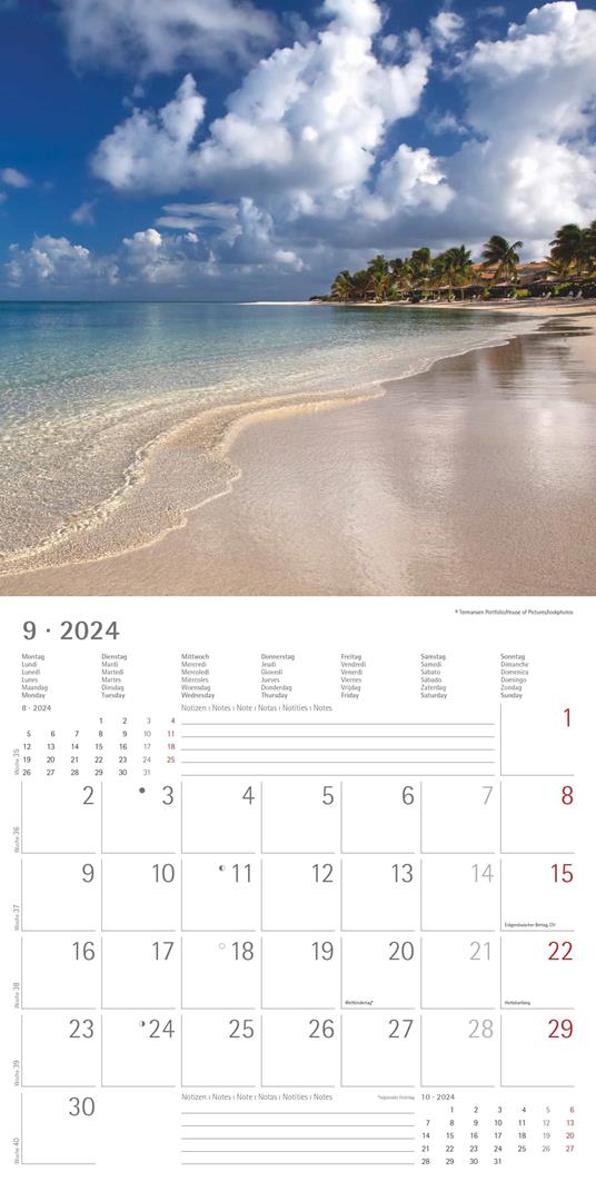 Alpha Edition - Calendario 2024 da muro Summerdreams, 12 mesi, 30x30 cm - 11