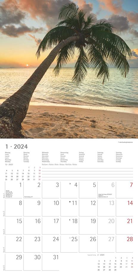 Alpha Edition - Calendario 2024 da muro Summerdreams, 12 mesi, 30x30 cm - 3