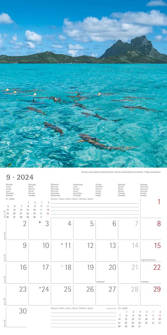 Alpha Edition - Calendario 2024 da muro By the Sea, 12 mesi, 30x30 cm - 11