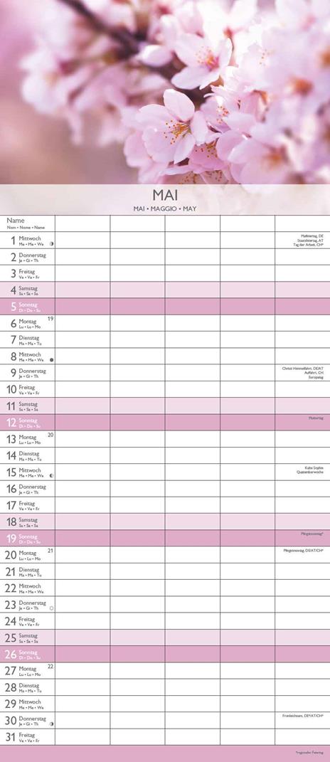 Alpha Edition - Calendario 2024 da muro per la famiglia Zen, 12 mesi, 19,5x45 cm - 6