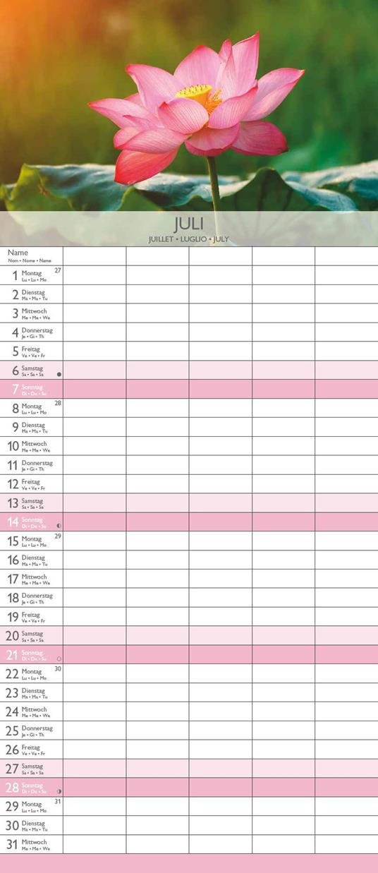 Alpha Edition - Calendario 2024 da muro per la famiglia Zen, 12 mesi, 19,5x45 cm - 8