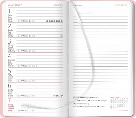 Alpha Edition - Agenda Settimanale Ladytimer Slim Deluxe 2024, 9x15,6 cm, Salmon, 128 pagine - 2