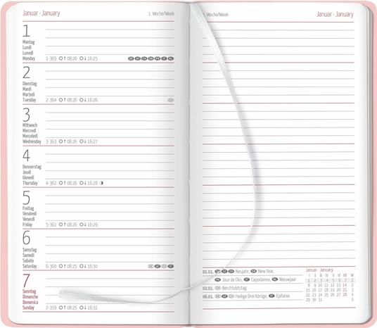 Alpha Edition - Agenda Settimanale Ladytimer Slim Deluxe 2024, 9x15,6 cm,  Salmon, 128 pagine