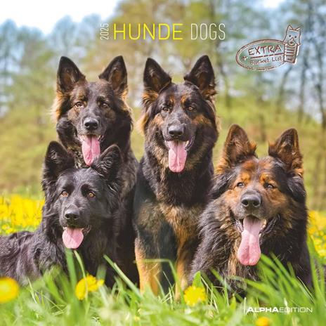 Alpha Edition - Calendario 2025 da muro Dogs, 12 mesi, 30x30 cm