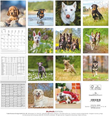 Alpha Edition - Calendario 2025 da muro Dogs, 12 mesi, 30x30 cm - 3