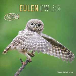 Cartoleria Alpha Edition - Calendario 2025 da muro Owls, 12 mesi, 30x30 cm Alpha Edition
