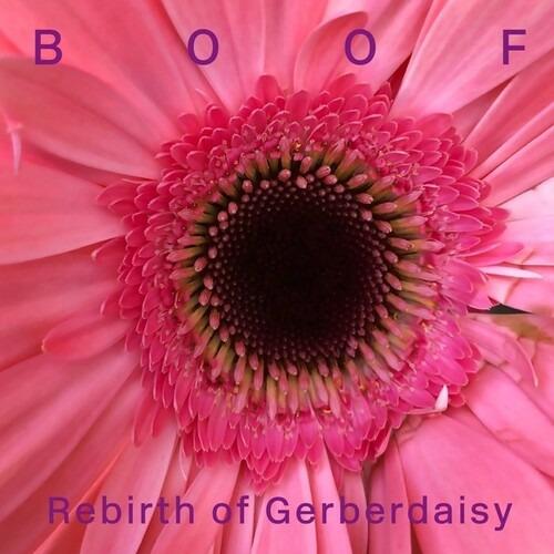 Rebirth of Gerberdaisy (Coloured Vinyl) - Vinile LP di Boof