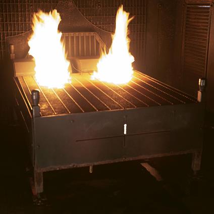 A Hundred Years Without You - Vinile LP di December