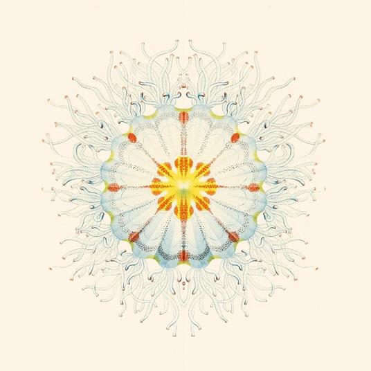 Litte Things - Vinile LP di Charlie Charlie