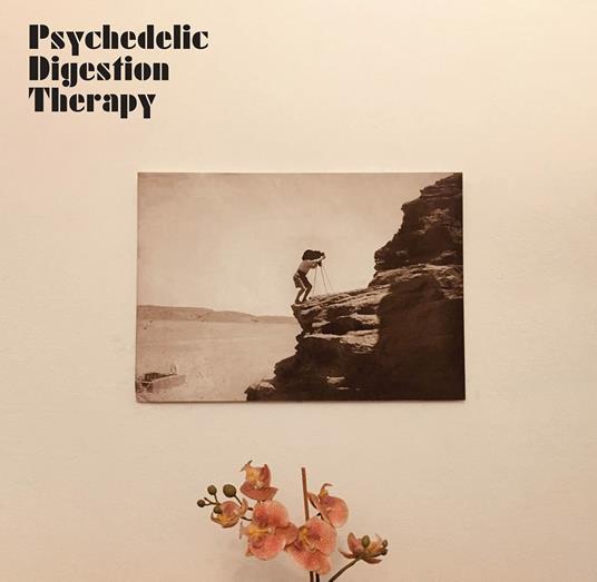 Psychedelic Digestion Therapy - Vinile LP di Psychedelic Digestion Therapy