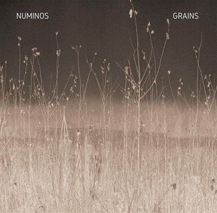 Grains - Vinile LP di Numinos