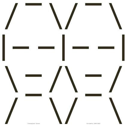 Accidents 1994-2023 - Vinile LP di Transparent Sound