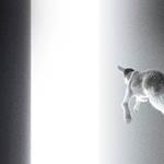 Keep Looking Where The Light Comes from