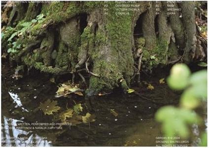 Imena Rek - Vinile LP di Gosha Martynov