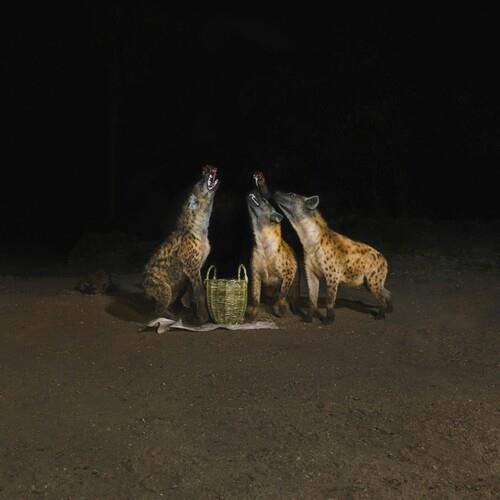 Suicide Disco (2024 Repress) - Vinile LP di Years of Denial