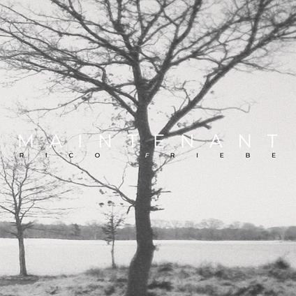 Maintenant - CD Audio di Rico Friebe