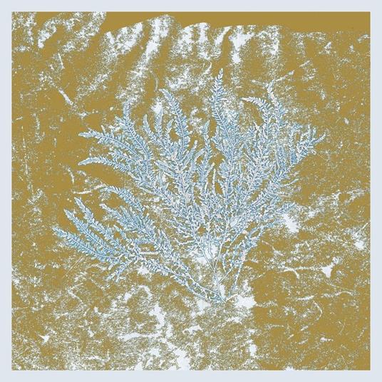 For Those Of You Who Have Never - Vinile LP di Huerco S.