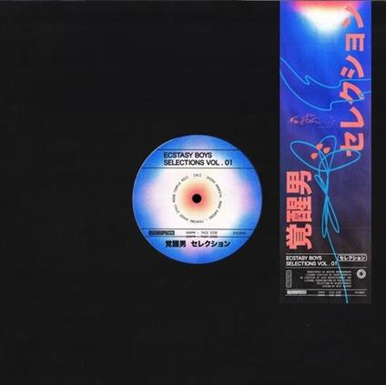 Selections Vol.1 - Vinile LP di Ecstasy Boys