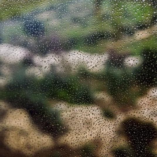 Silliness - Vinile LP di Aitcher Clark