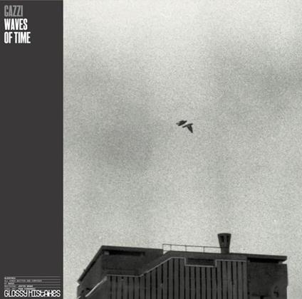 Waves Of Time - Vinile LP di Gazzi