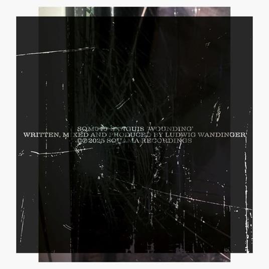 Wounding - Vinile LP di Sanguis