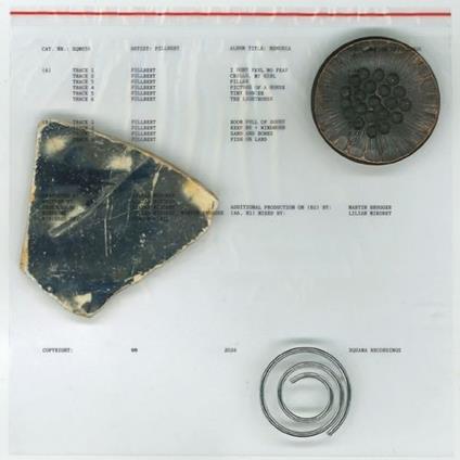 Memoria - Vinile LP di Pillbert