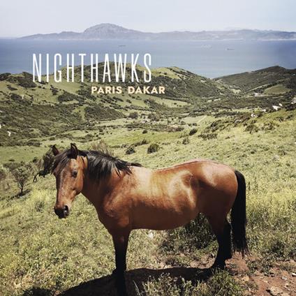 Paris Dakar - Vinile LP di Nighthawks