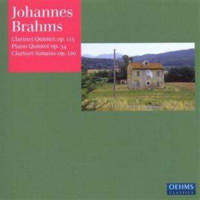 Clarinet Quintet - Piano qu - CD Audio di Johannes Brahms