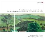 Fantasia per violino in Do / Sonata per violino op.18 - CD Audio di Franz Schubert,Richard Strauss,Nina Karmon