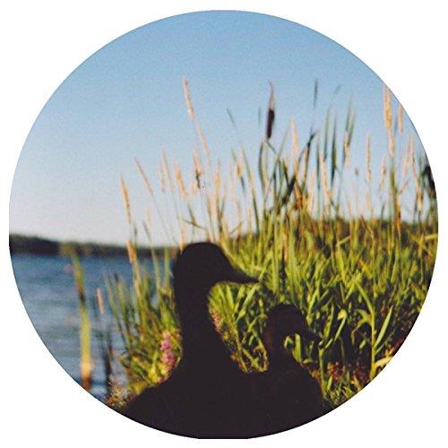 Johan Kaseta - The Erefora Land - Vinile LP