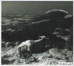 Wanderlust - CD Audio di Domenic Landolf