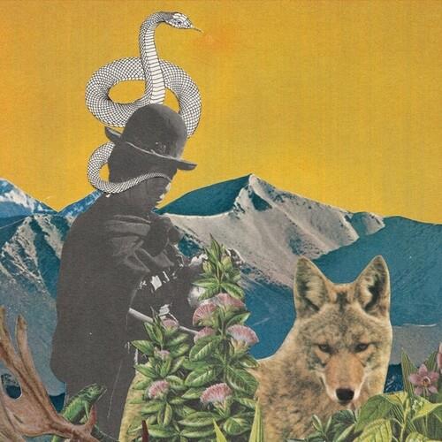 Between Worlds - Vinile LP di Toby Goodshank,Leslie Graves