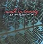 Walk in Beauty - CD Audio di Peter Kater,Joseph Firecrow